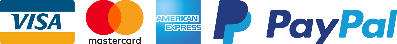 Pay for your New York trip with Visa, Mastercard, American Express, PayPal and bank transfer Pay for your New York trip with Visa, Mastercard, American Express, PayPal and bank transfer